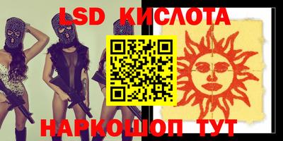 крисы Моздок