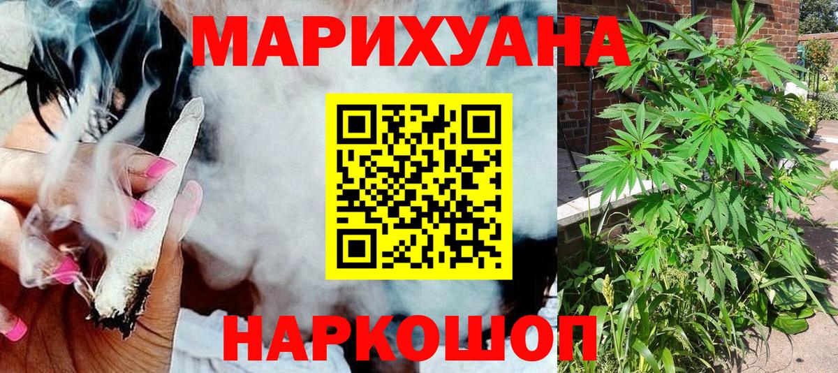 Каннабис планчик Ефремов