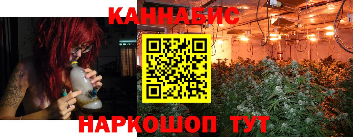 Марихуана сатива  Ефремов  МАРИХУАНА планчик  Конопля планчик  Шишки марихуана MAZAR 